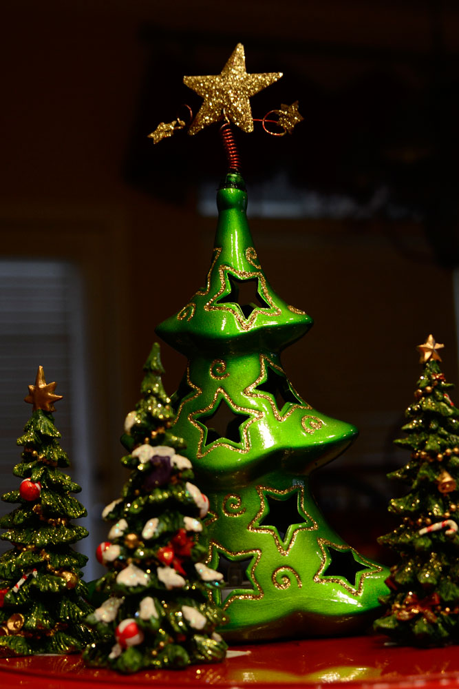 2014Ornaments05-037Web